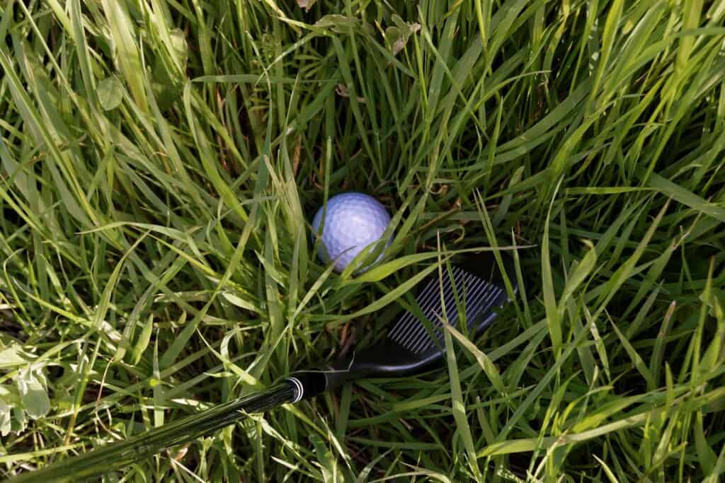 An Iron golf club and golf ball in tall grass